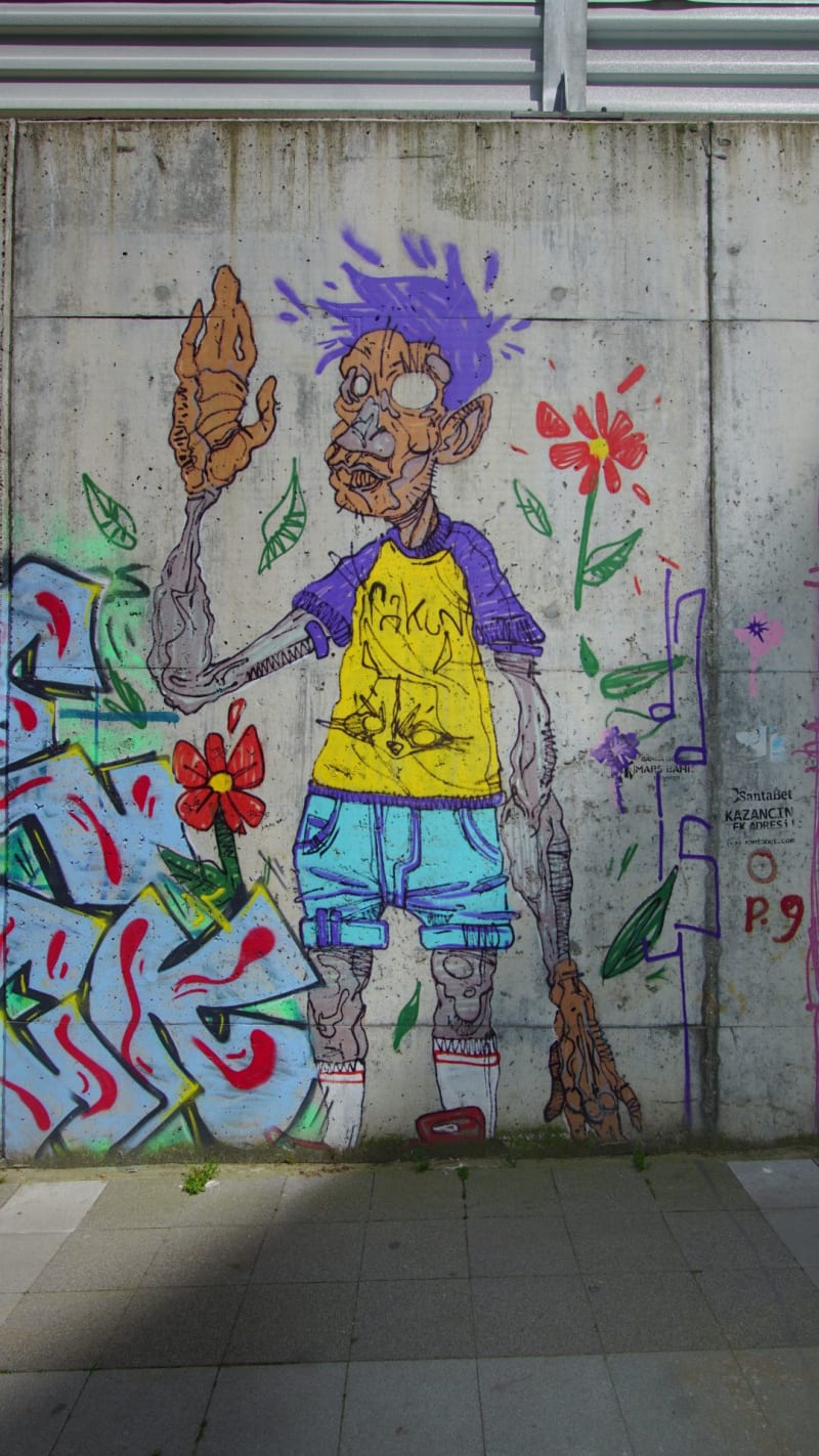 Rakun Graffiti - FENERYOLU, İstanbul (2020) - Küçük Resim 4 - Walls of Türkiye