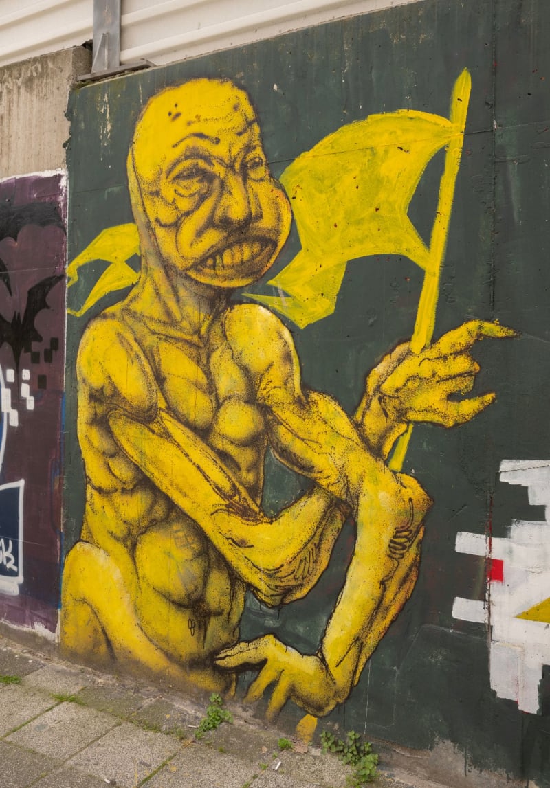 Rakun Graffiti - FENERYOLU, İstanbul (2020) - Küçük Resim 1 - Walls of Türkiye