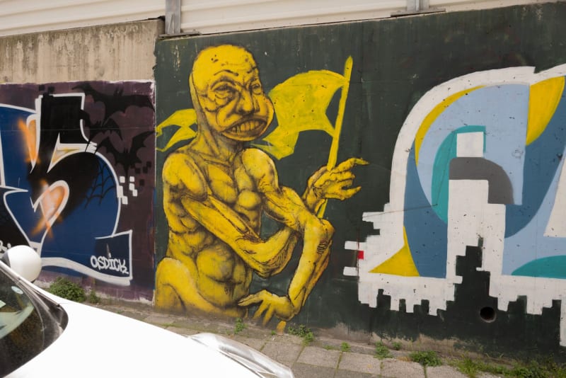 Rakun Graffiti - FENERYOLU, İstanbul (2020) - Küçük Resim 2 - Walls of Türkiye