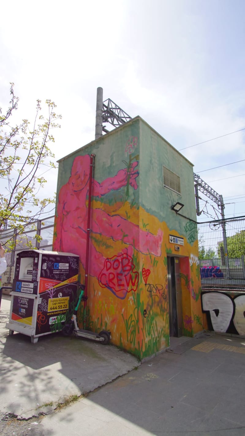 Rakun Graffiti - FENERYOLU, İstanbul (2022) - Küçük Resim 2 - Walls of Türkiye