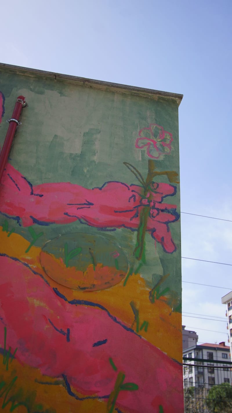 Rakun Graffiti - FENERYOLU, İstanbul (2022) - Küçük Resim 3 - Walls of Türkiye