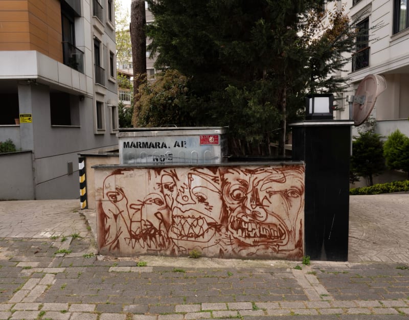 Rakun Graffiti - FENERYOLU, İstanbul (2022) - Küçük Resim 2 - Walls of Türkiye
