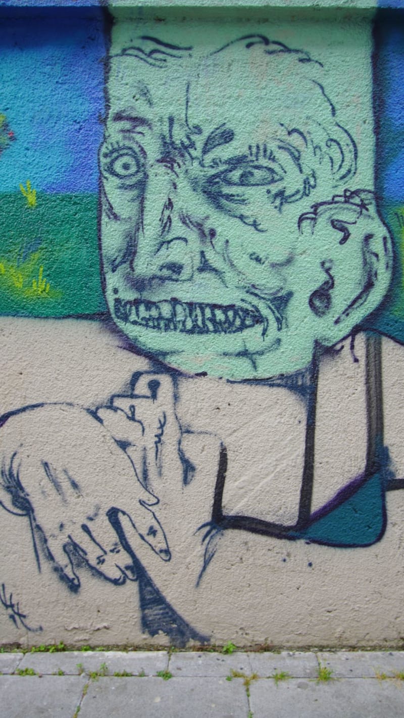 Rakun, YABANCI Graffiti - Kadıköy, İstanbul (2021) - Küçük Resim 1 - Walls of Türkiye