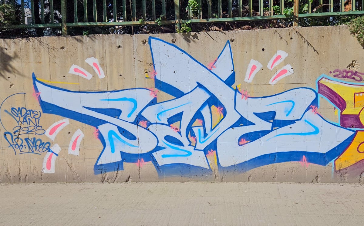 GRAFİTİ