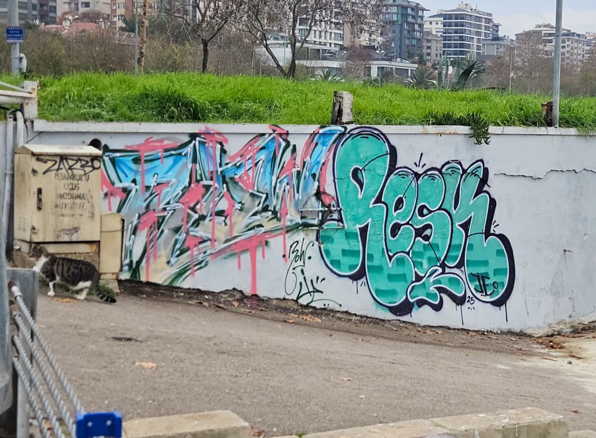 GRAFİTİ