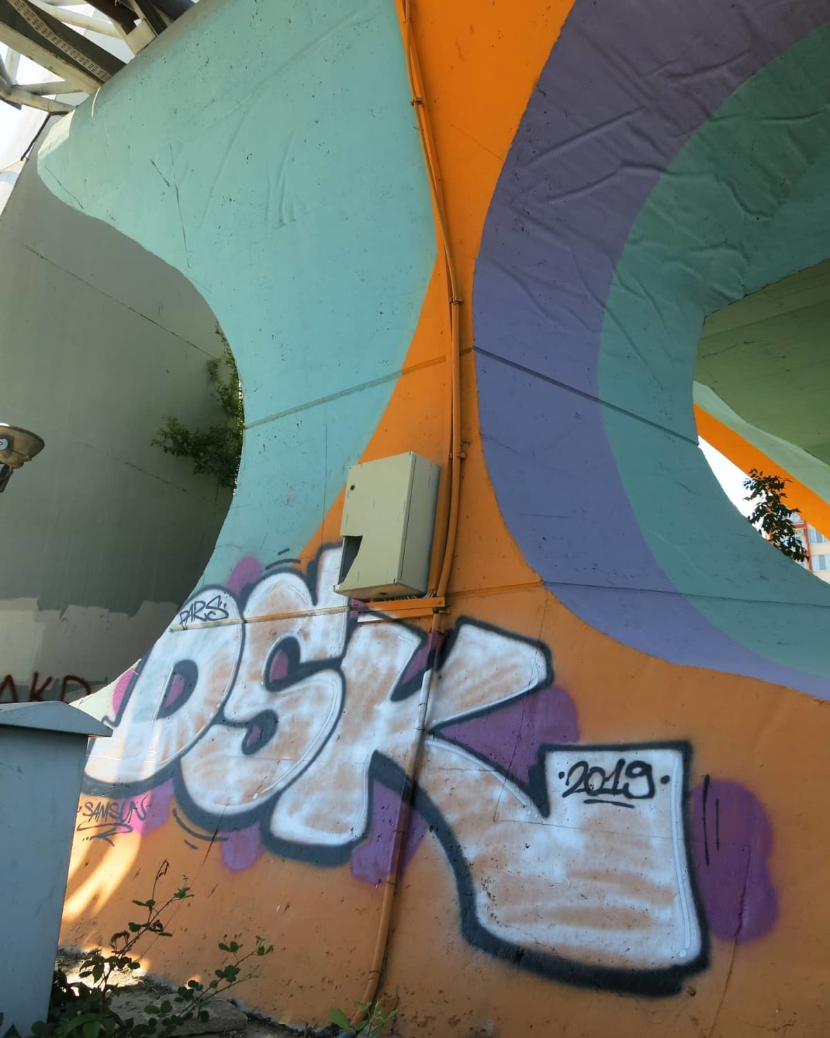 pars (DSK) Graffiti - SAMSUN (2019) - Walls of Türkiye