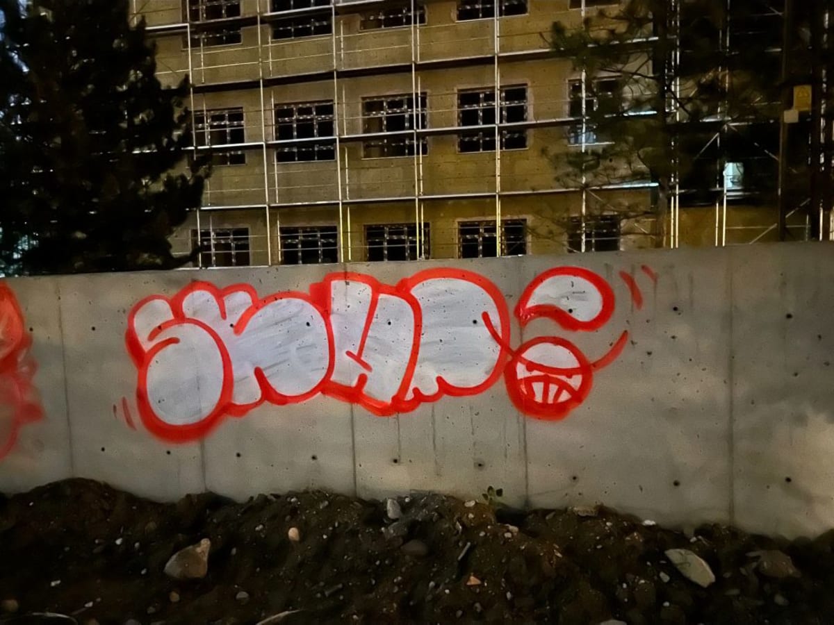 GRAFİTİ