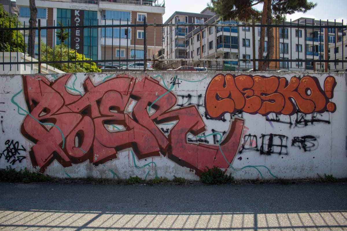 boter, MESKO Graffiti - SAMSUN (2024) - Walls of Türkiye