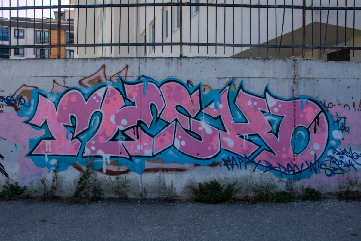 nemo Graffiti - Atakum, SAMSUN (2026) - Walls of Türkiye