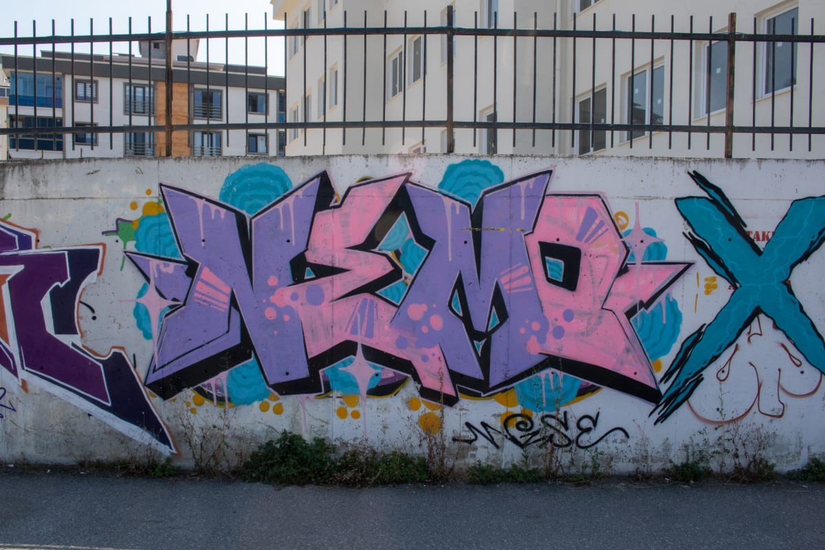 nemo Graffiti - Atakum, SAMSUN (2026) - Walls of Türkiye