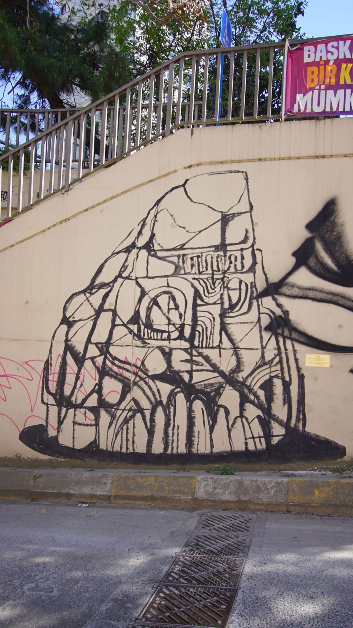 Rakun Graffiti - Erenköy, İstanbul (2018) - Walls of Türkiye