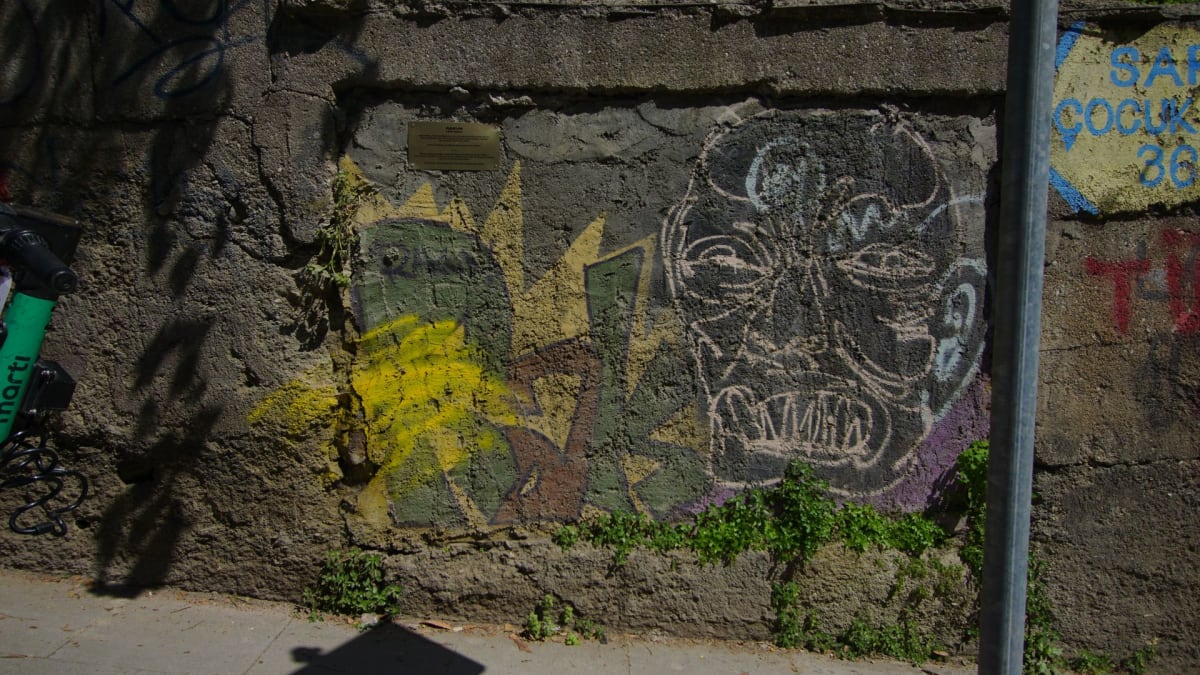 Rakun Graffiti - SUADİYE, İstanbul (2019) - Walls of Türkiye