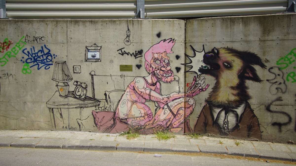Rakun Graffiti - İstanbul (2019) - Walls of Türkiye