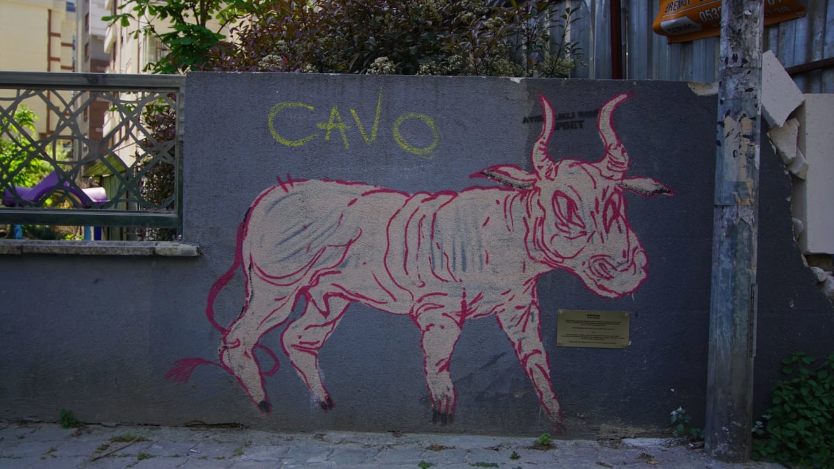 Rakun Graffiti - SUADİYE, İstanbul (2018) - Walls of Türkiye