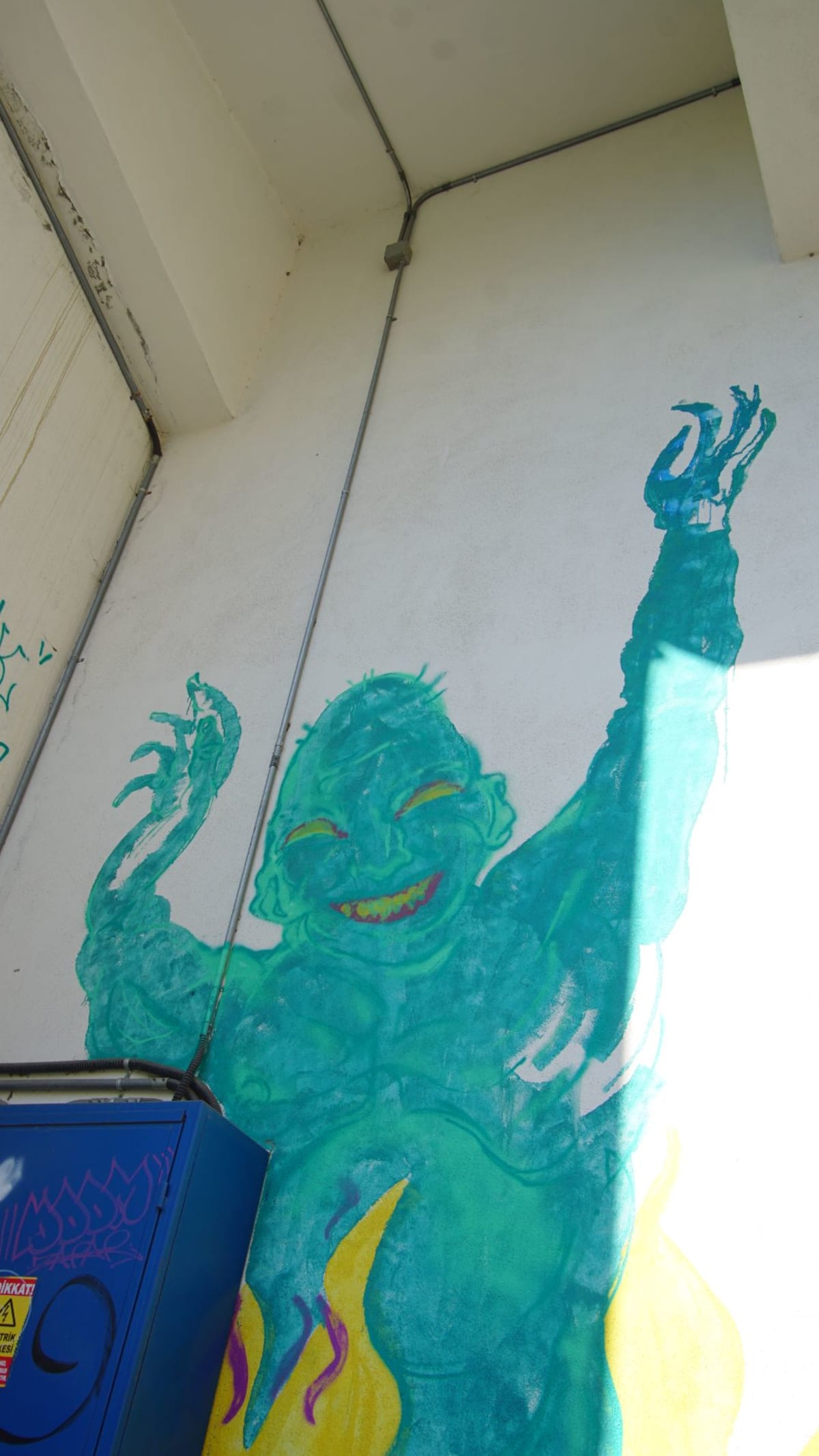 Rakun Graffiti - SUADİYE, İstanbul (2023) - Walls of Türkiye