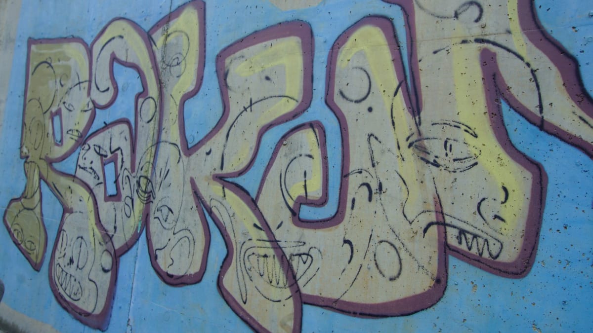 Rakun Graffiti - SUADİYE, İstanbul (2018) - Walls of Türkiye