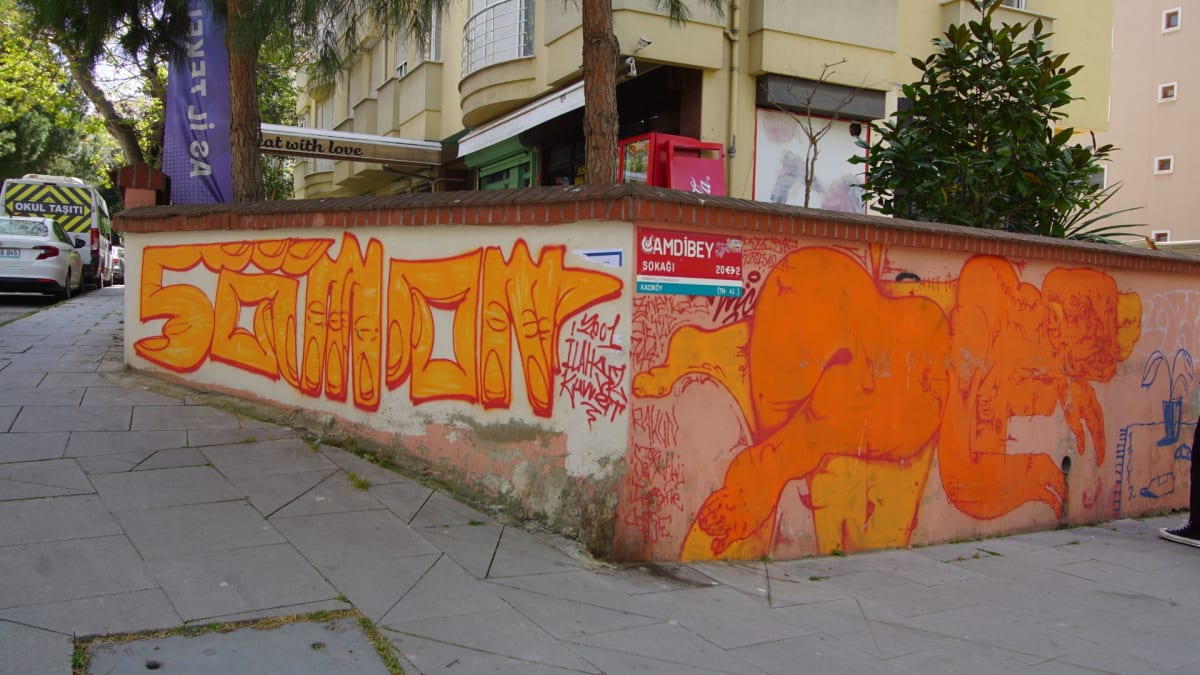 Rakun, Somon Graffiti - İstanbul (2021) - Walls of Türkiye