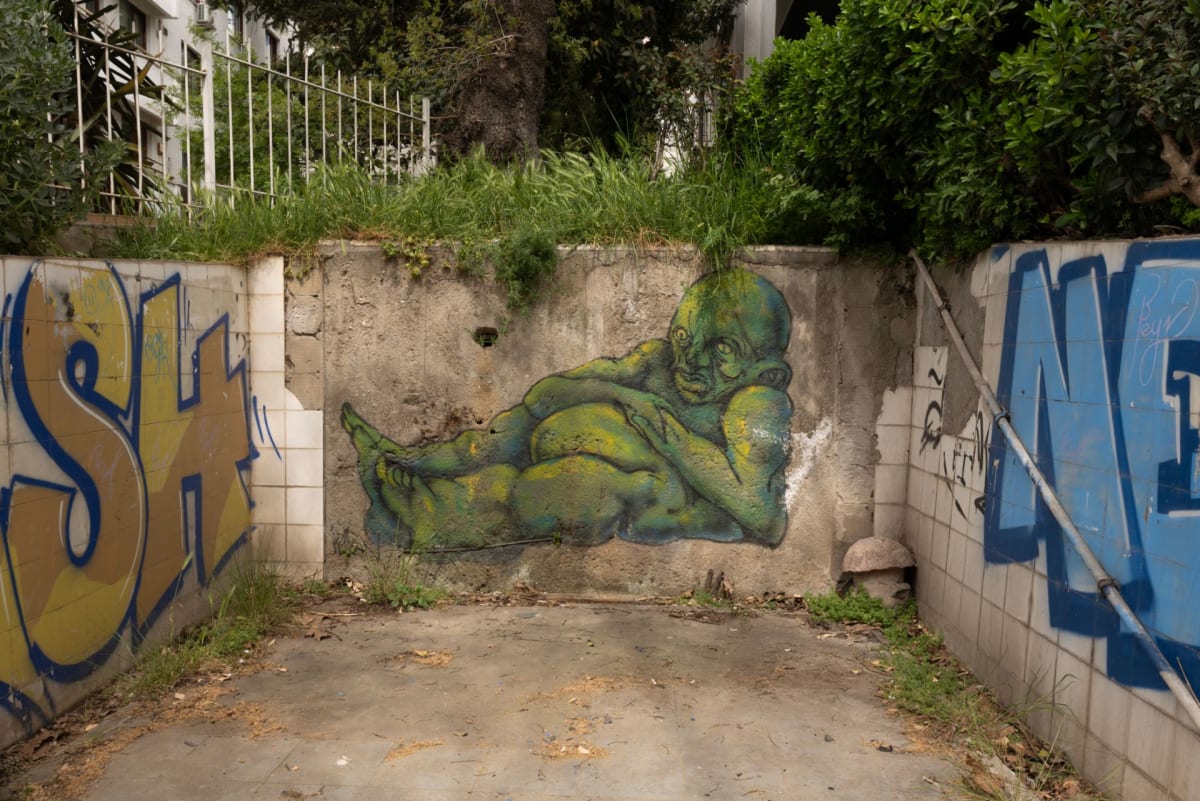 Rakun Graffiti - Kadıköy, İstanbul (2023) - Walls of Türkiye