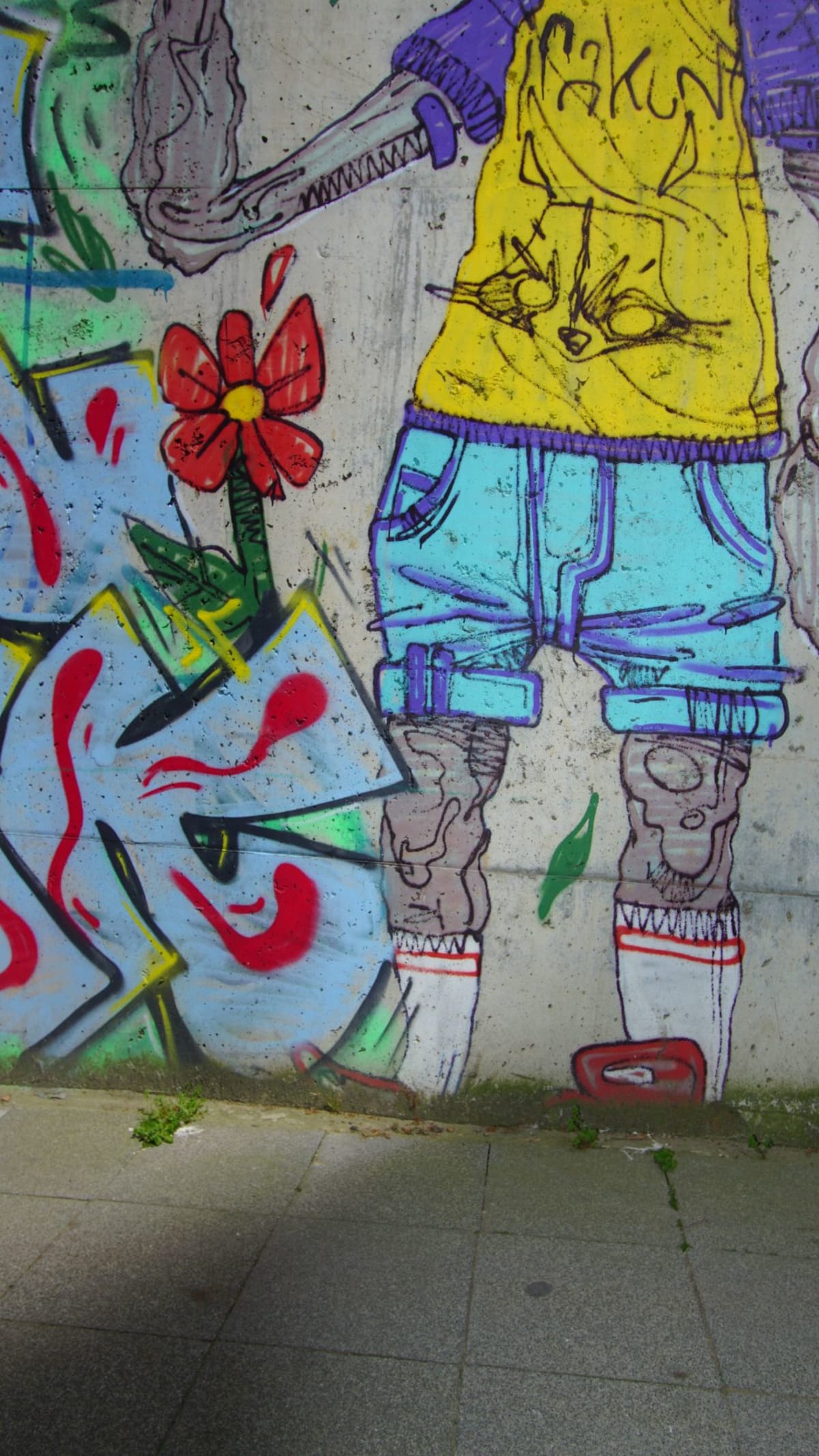 Rakun Graffiti - FENERYOLU, İstanbul (2020) - Walls of Türkiye
