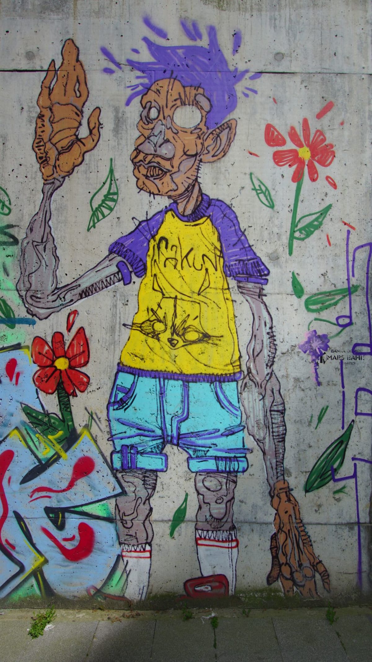 Rakun Graffiti - İstanbul (2020) - Walls of Türkiye