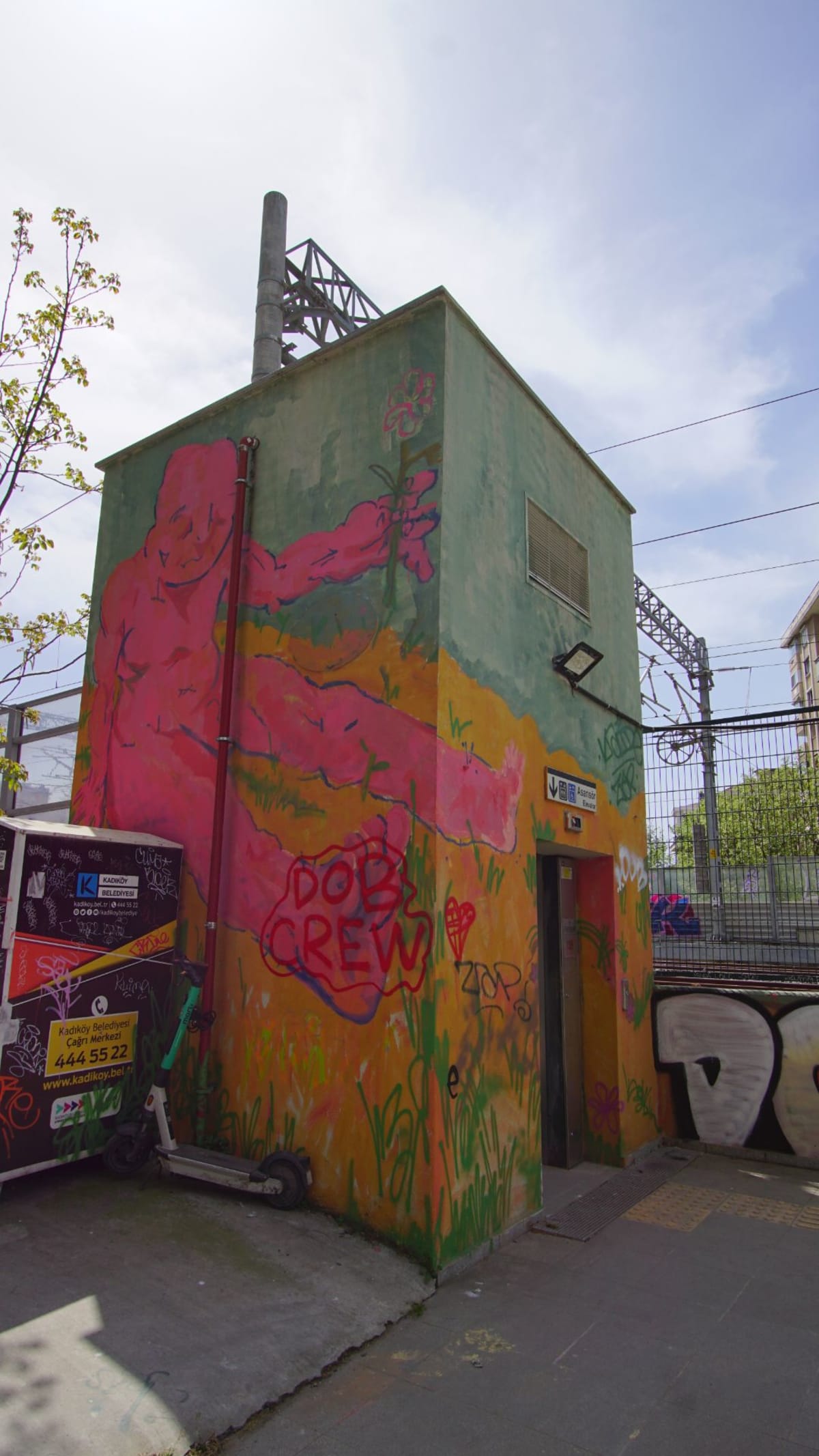 Rakun Graffiti - FENERYOLU, İstanbul (2022) - Walls of Türkiye