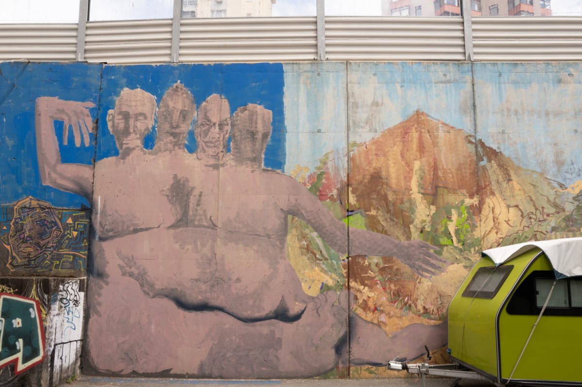 Rakun Graffiti - FENERYOLU, İstanbul (2023) - Walls of Türkiye