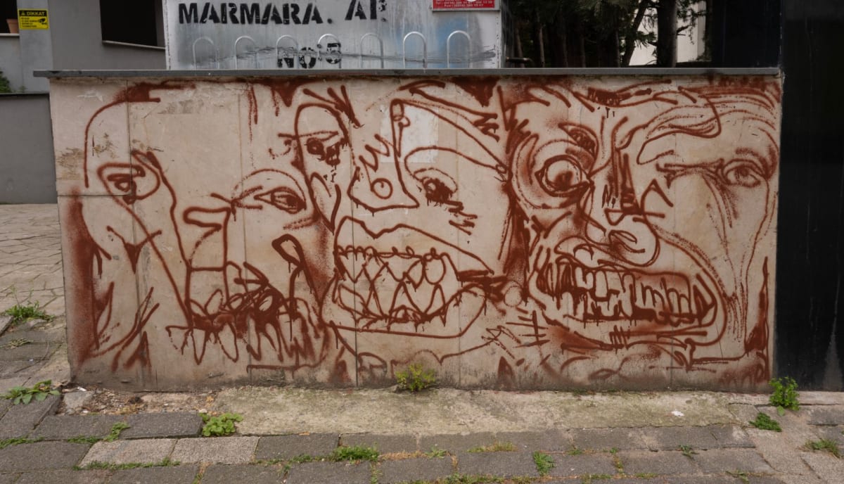 Rakun Graffiti - FENERYOLU, İstanbul (2022) - Walls of Türkiye