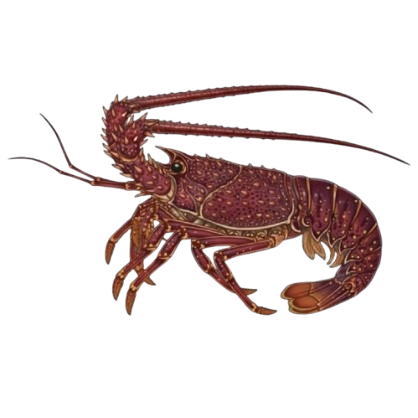 Palinurus