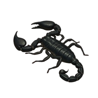 Palamneus