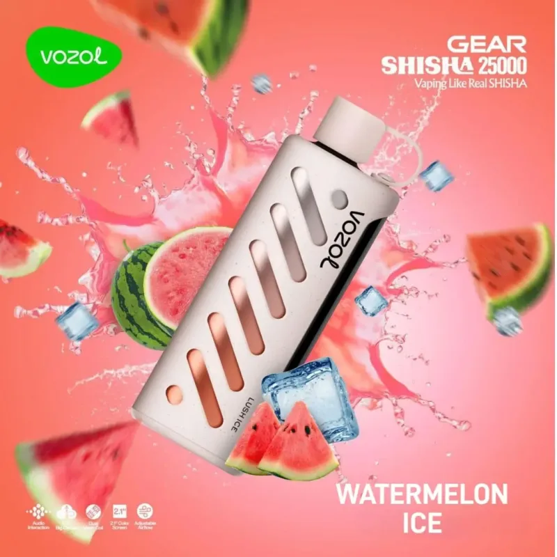 elfbar elfa kaufen Vozol Disposable (Speical Edition) 25000 puff - Watermelon Ice main image 1