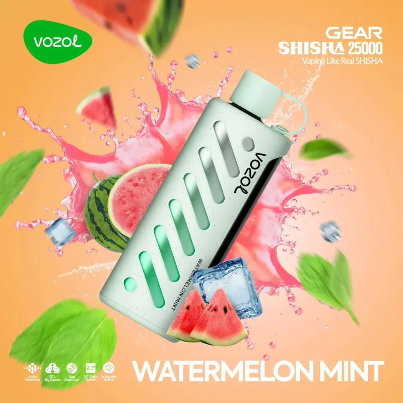 elfbar elfa kaufen Buy Vozol Gear Shisha 25000 Puffs Best Disposable Vape Shop main image 1