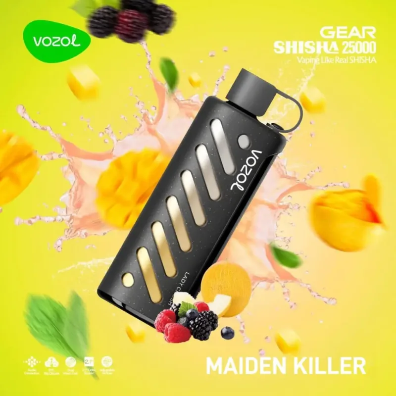 elfbar elfa kaufen Vozol Gear Shisha 25000 Moscow Evenings main image 1