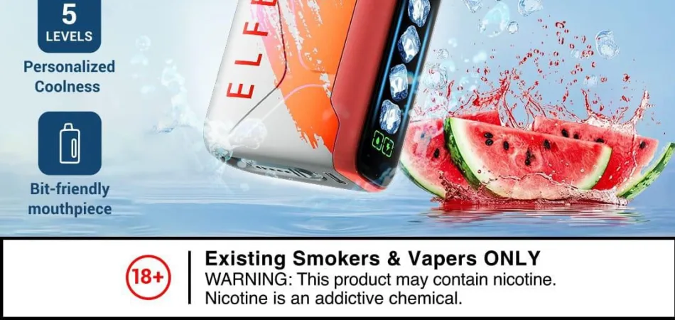 Best Disposable Vapes for Beginners - undefined