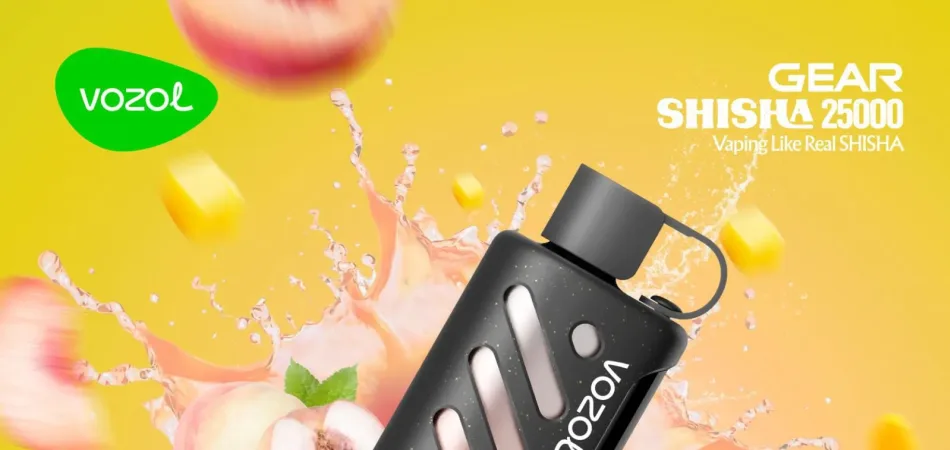 Best Disposable Vapes for Beginners - undefined