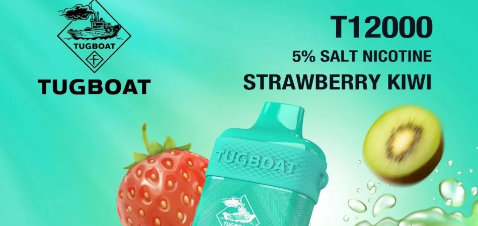 Best Disposable Vapes for Beginners - undefined