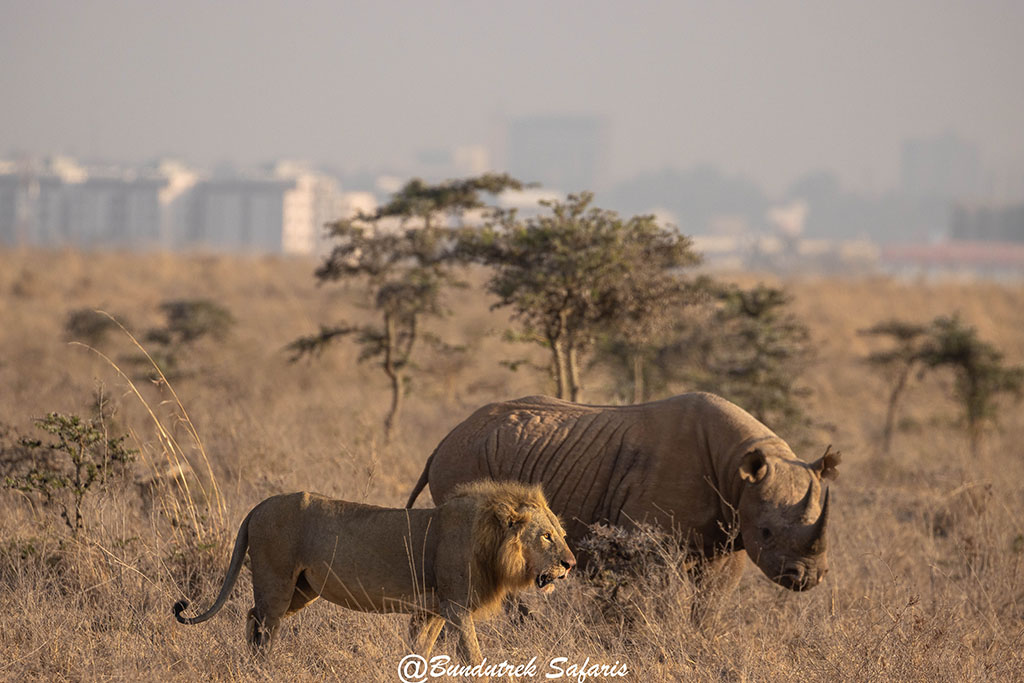 Nairobi National Park