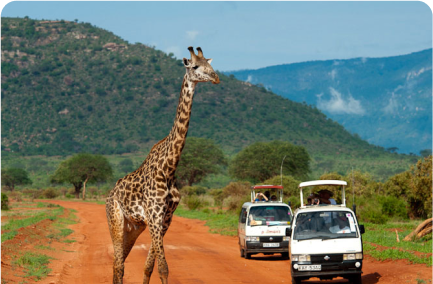 Tsavo West National Park