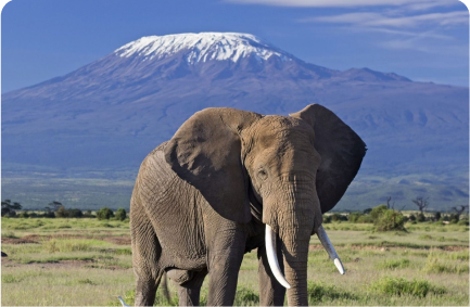 Samburu National Reserve