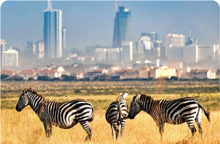 Nairobi National Park