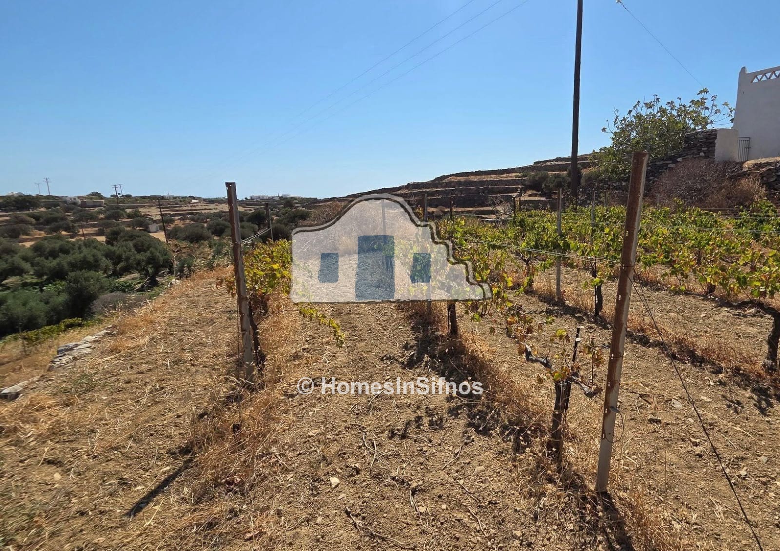 Kato-Petali Sifnos, land for sale  2