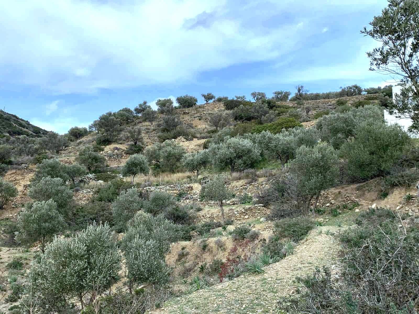 Ammoudares (Platis Gialos) Land For Sale. 11