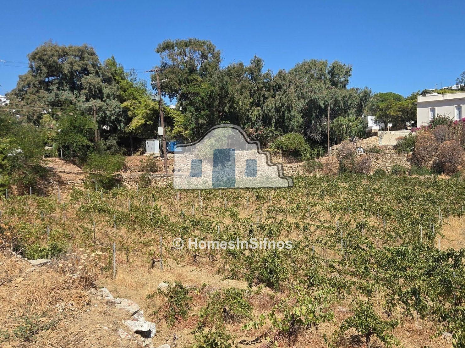 Kato-Petali Sifnos, land for sale  3