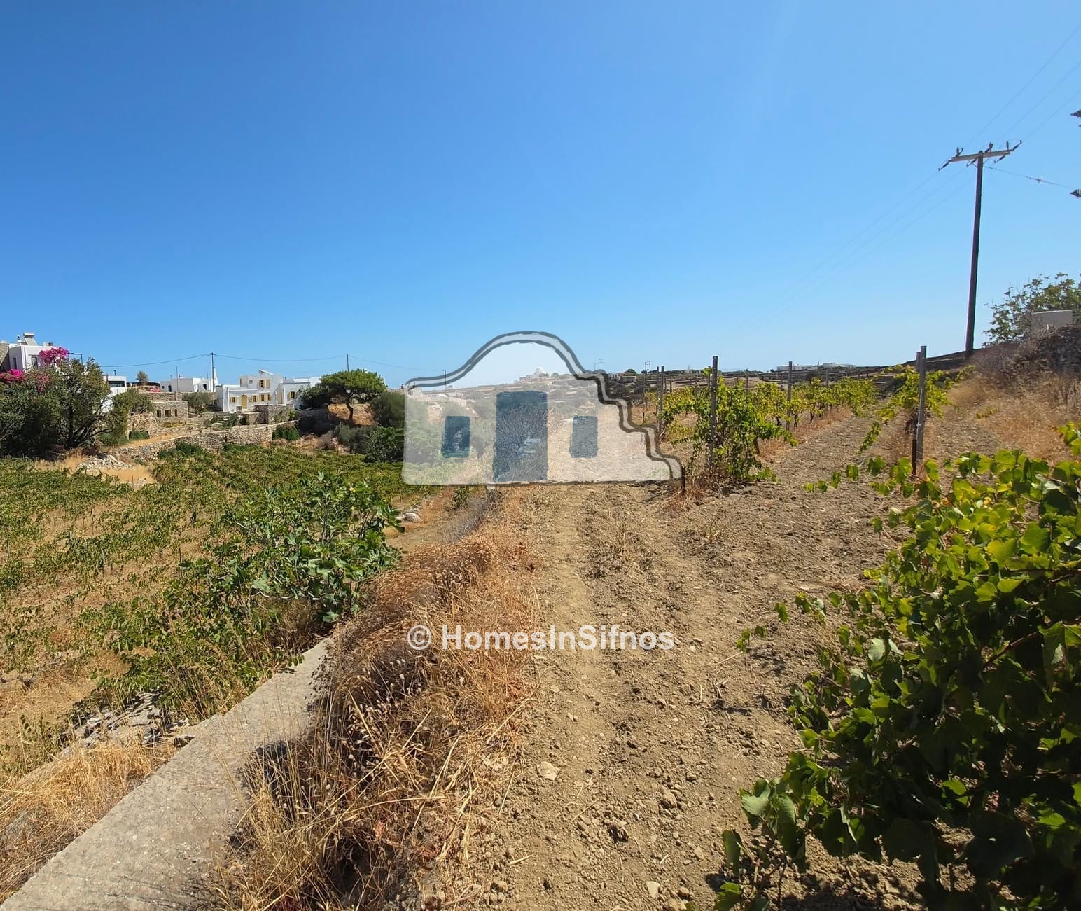 Kato-Petali Sifnos, land for sale  5