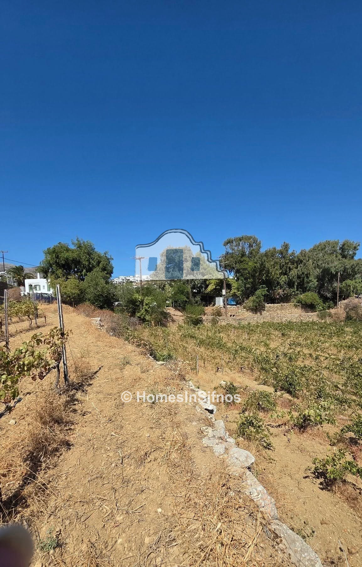 Kato-Petali Sifnos, land for sale  4