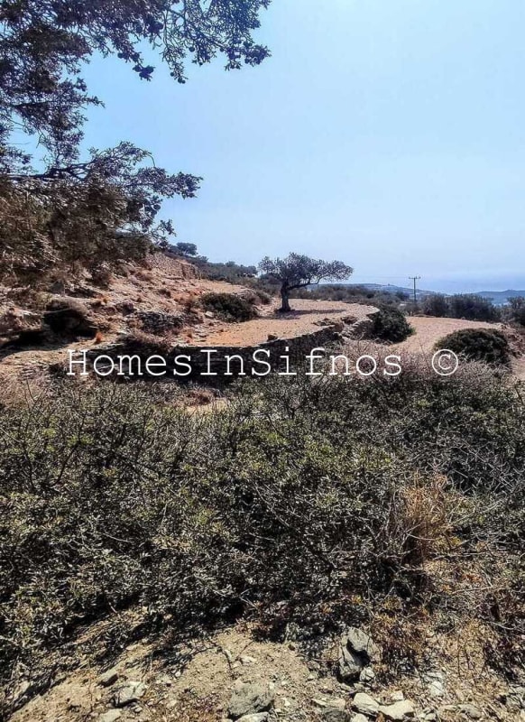 Sifnos Ano Merisini Big Land For Sale - 6