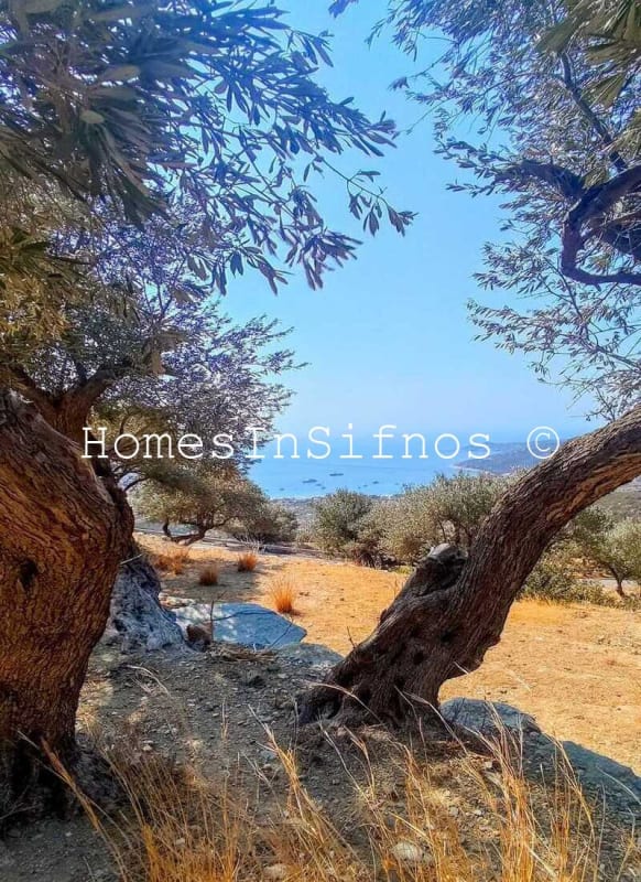Sifnos Ano Merisini Big Land For Sale - 7