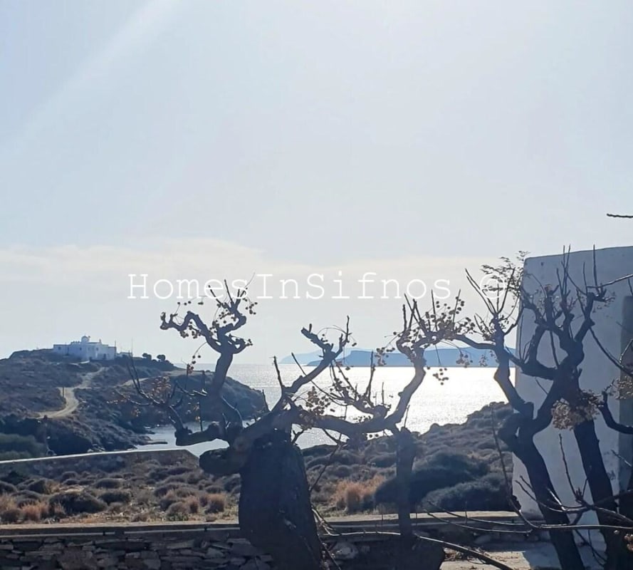 Faros Plot For Sale - 7