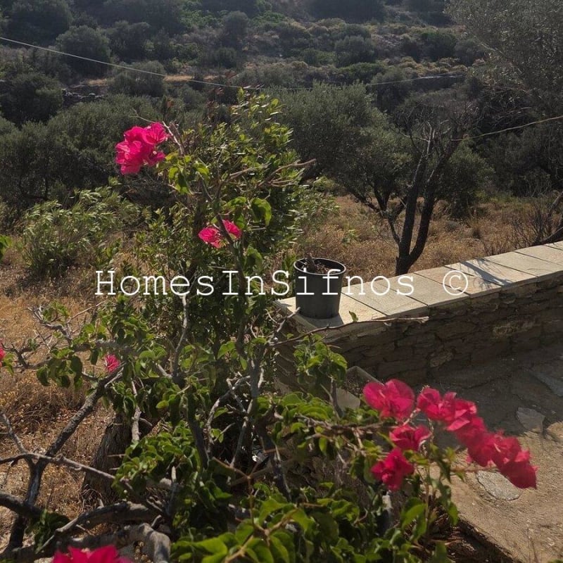 Charming Traditional Style Retreat(House)For Sale - 10