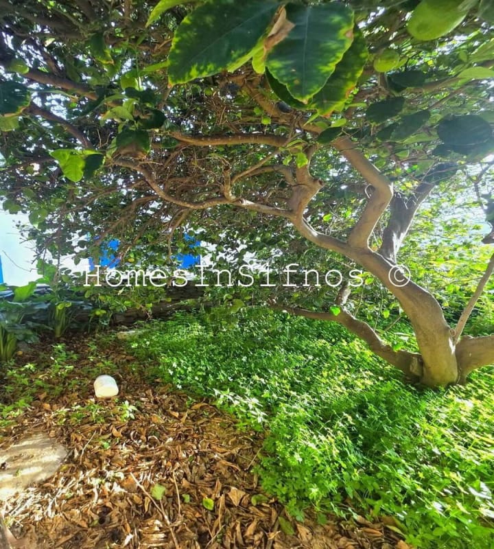 Exampela House For Sale - 5