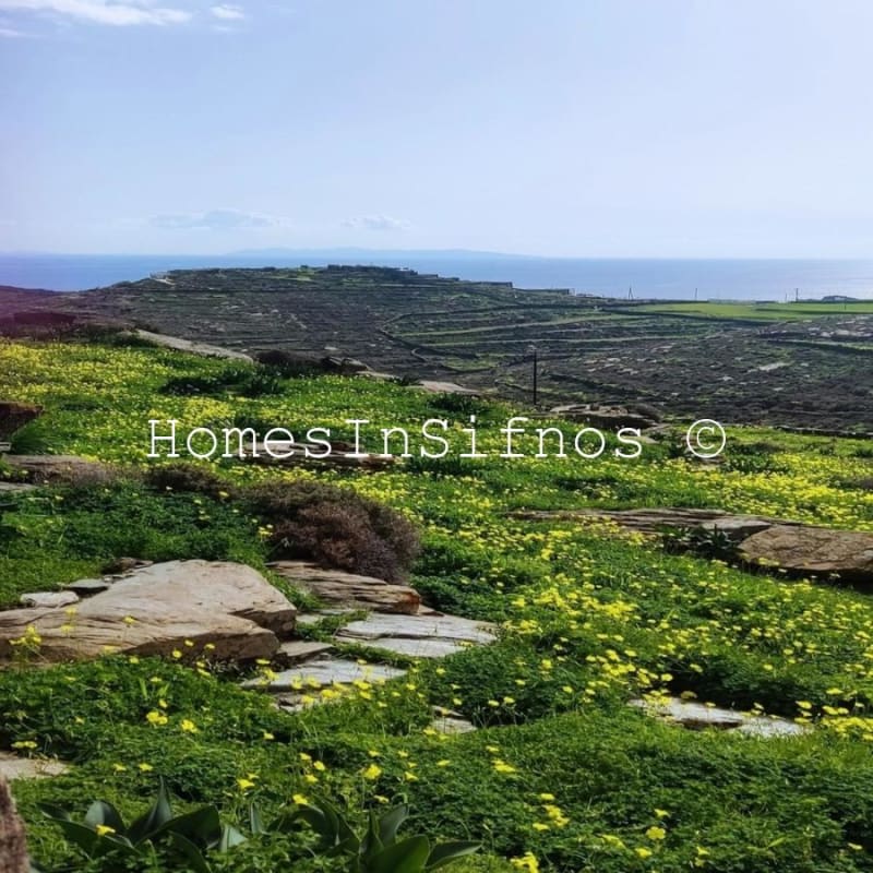 Pigados Land For Sale - 5